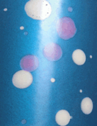 Struktur Latex Bubbles Blue